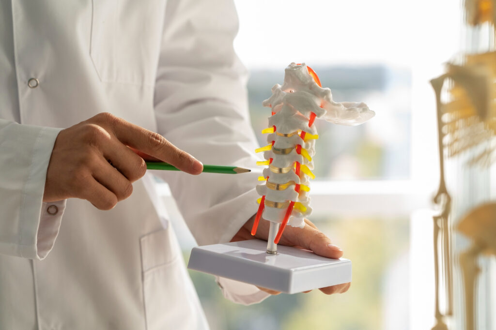 Spinal surgeon providing a spinal surgery second opinion