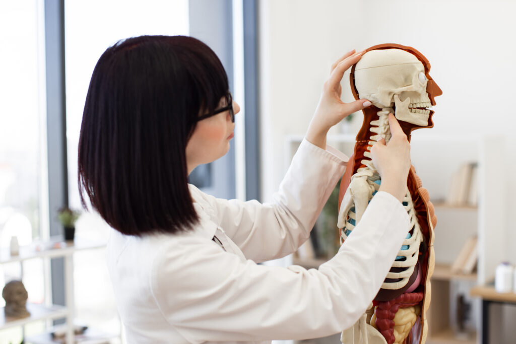 Surgeon explaining anterior cervical fusion recovery time using spinal imaging.